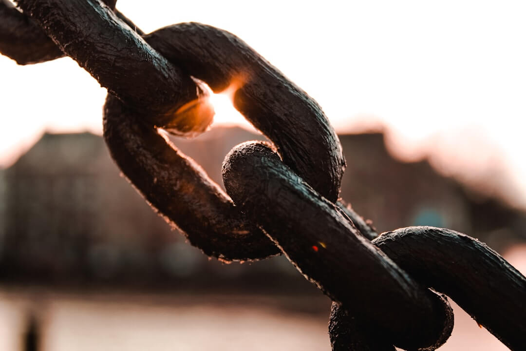 selective focus photograph of gray metal chains